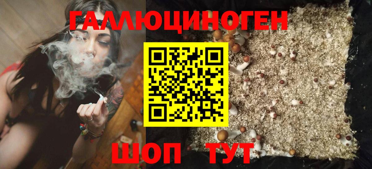 Галлюциногенные грибы мицелий Дальнегорск