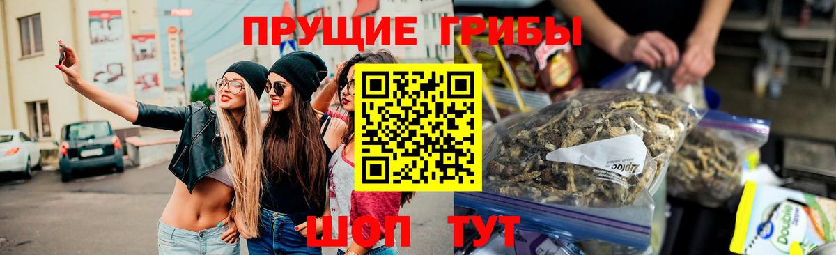 Дальнегорск  Псилоцибиновые грибы прущие грибы  Вход с VPN 