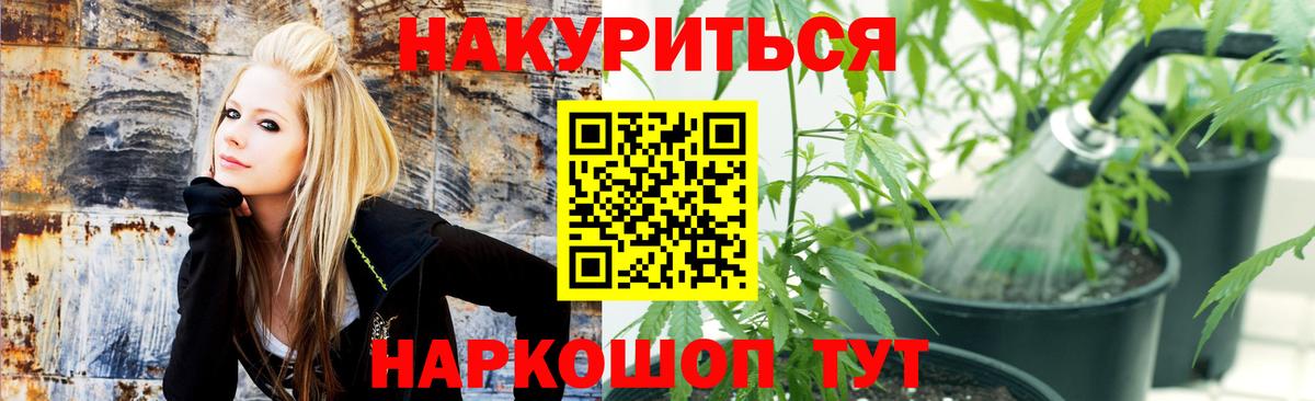 Дальнегорск  Марихуана White Widow  Конопля LSD WEED  Шишки марихуана тримм  Вход с VPN 